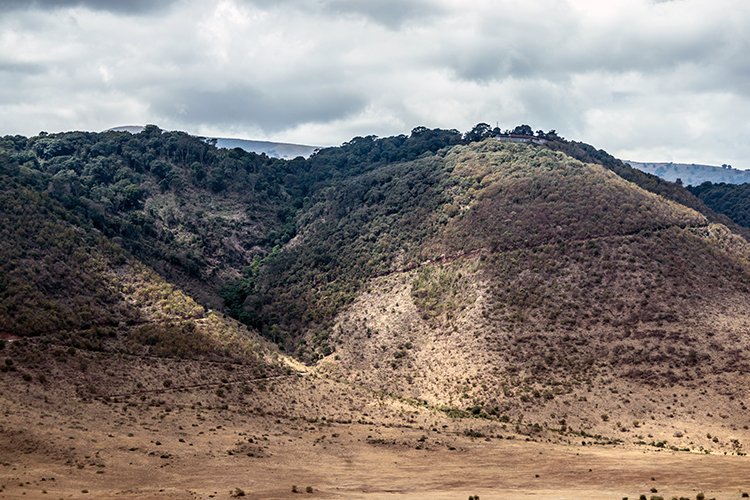 TZA ARU Ngorongoro 2016DEC26 Crater 097